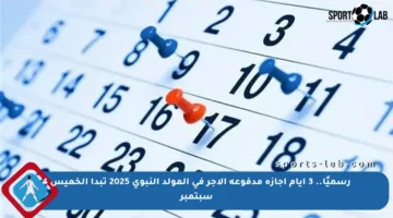 رسميًا.. 3 أيام إجازة مدفوعة الأجر في المولد النبوي 2025 تبدأ الخميس 4 سبتمبر